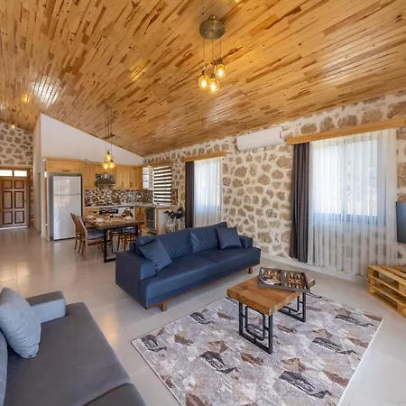 Agarta Villas Willa