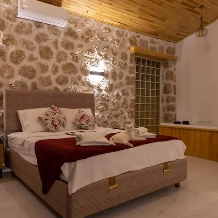 Agarta Villas Willa *