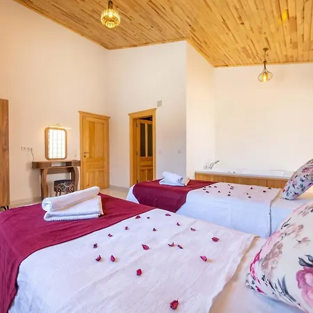 Agarta Villas וילה *